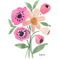 Image Not Available